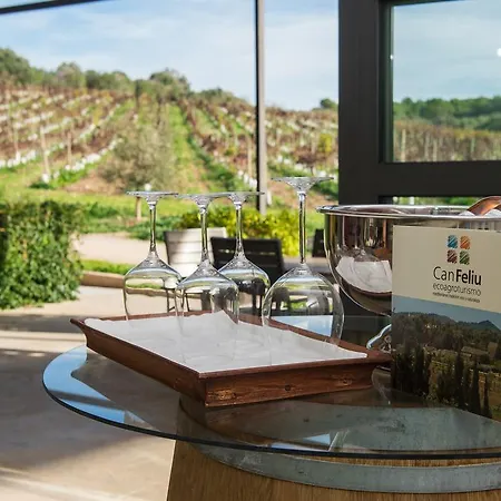 Country house Feliu