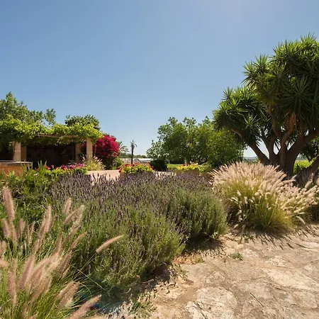 Feliu Country house